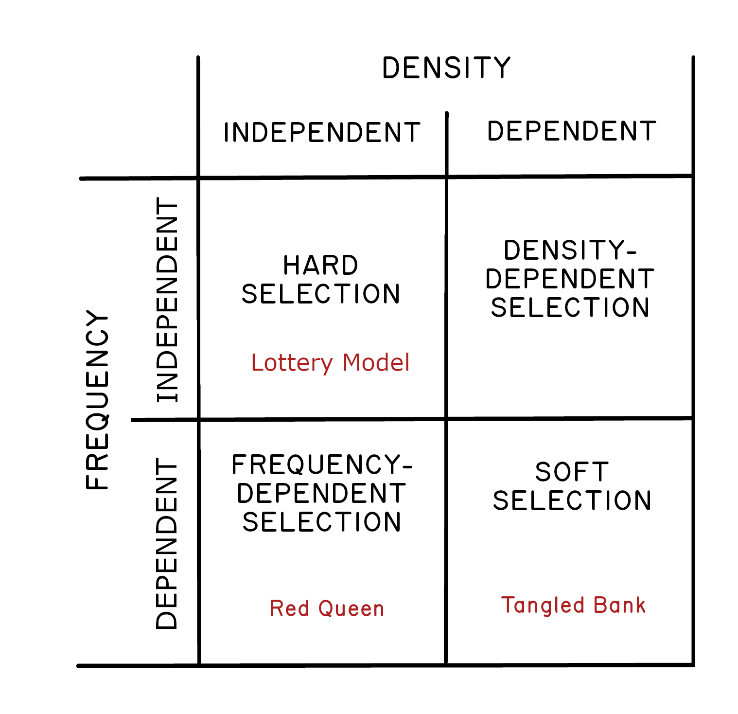 Diagram of four possibilities derived from crossing density-dependent and density-independent selection with frequency-dependent and frequency-independent selection.