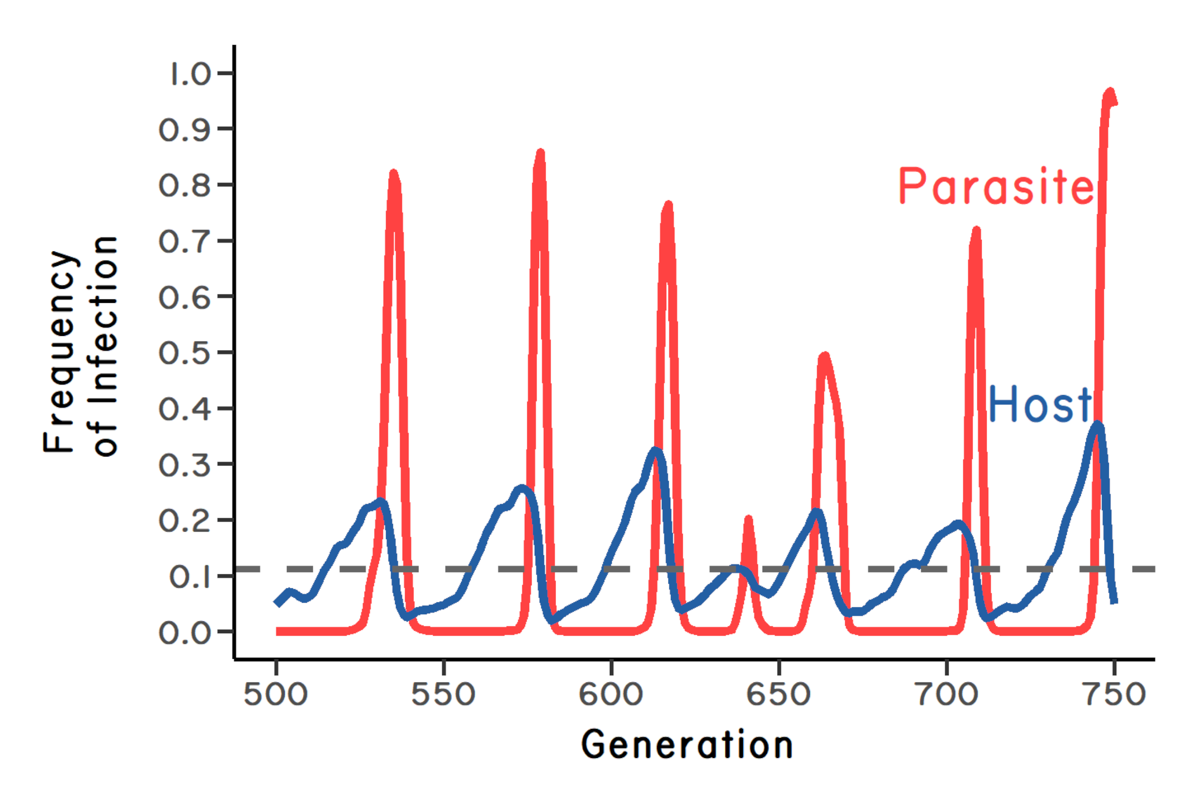 Data visualization of simulation results showing oscillations in host genotype and parasite genotype frequencies. The parasite's oscillations lag 90 degrees behind the host.