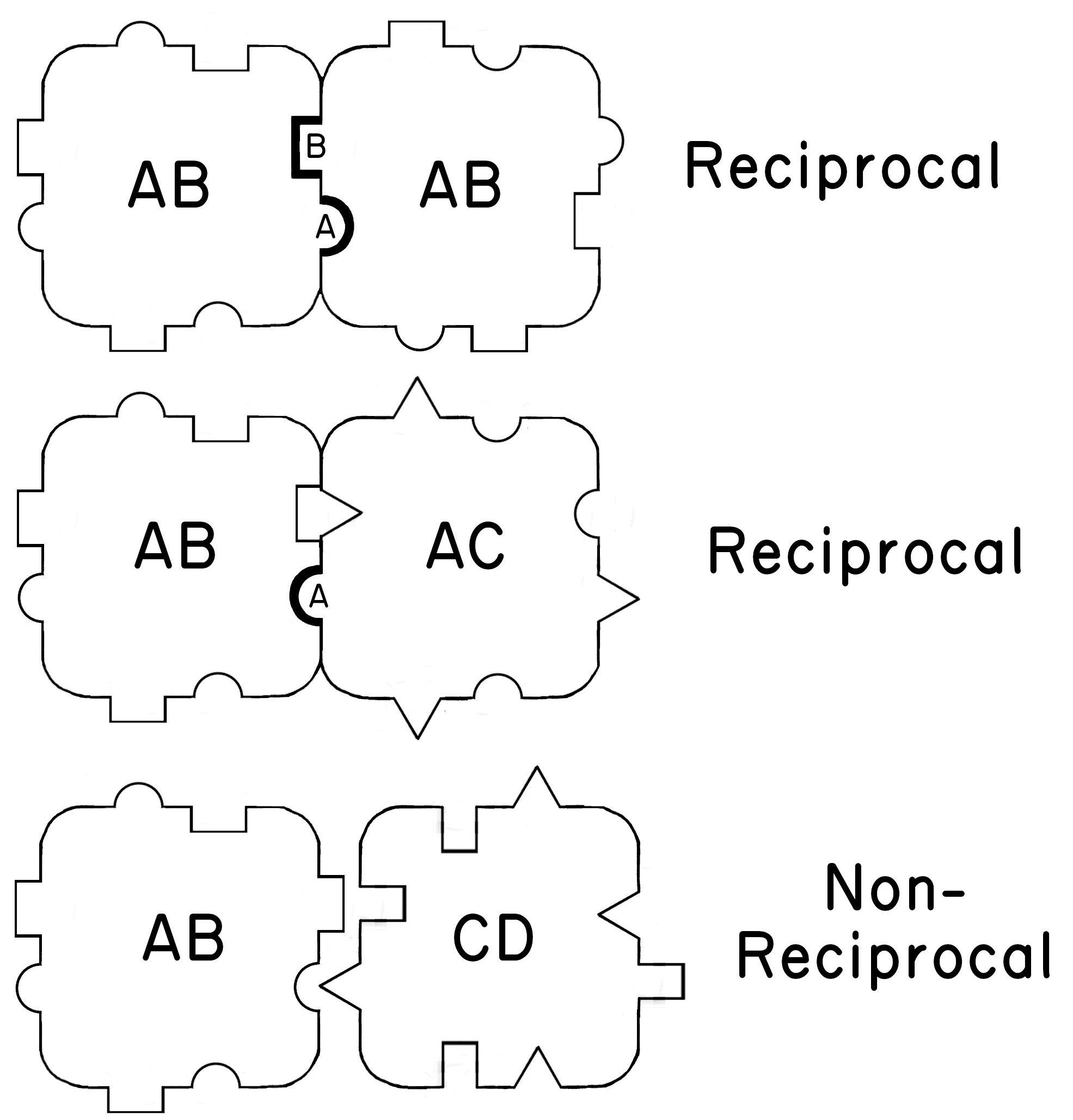 A diagram of self- / non-self-recognition in which the top two drawings show fusion of tunicate colonies that share one or more alleles at a recognition locus, while the bottom drawing shows that colonies do not fuse if they have no alleles in common.