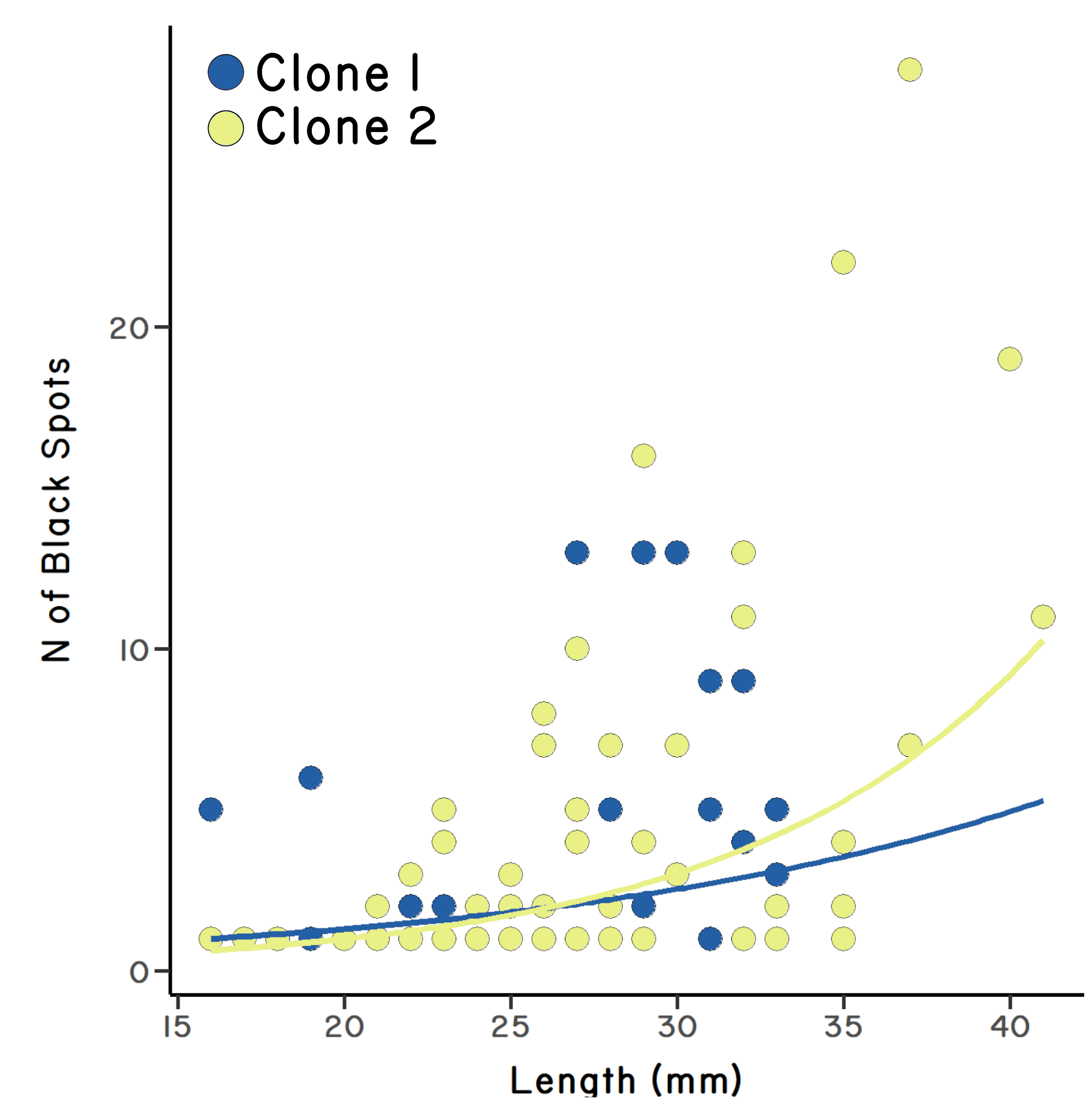 Scatter plot showing greater infection in the more common clone (clone 2) than in the rarer clone (clone 1).